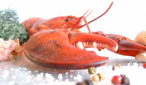 Lekkers uit de Oosterschelde