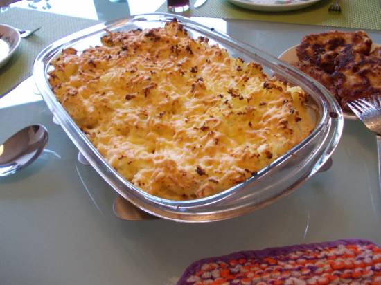 Romige ovenschotel witlof met champignons, ham en kaas